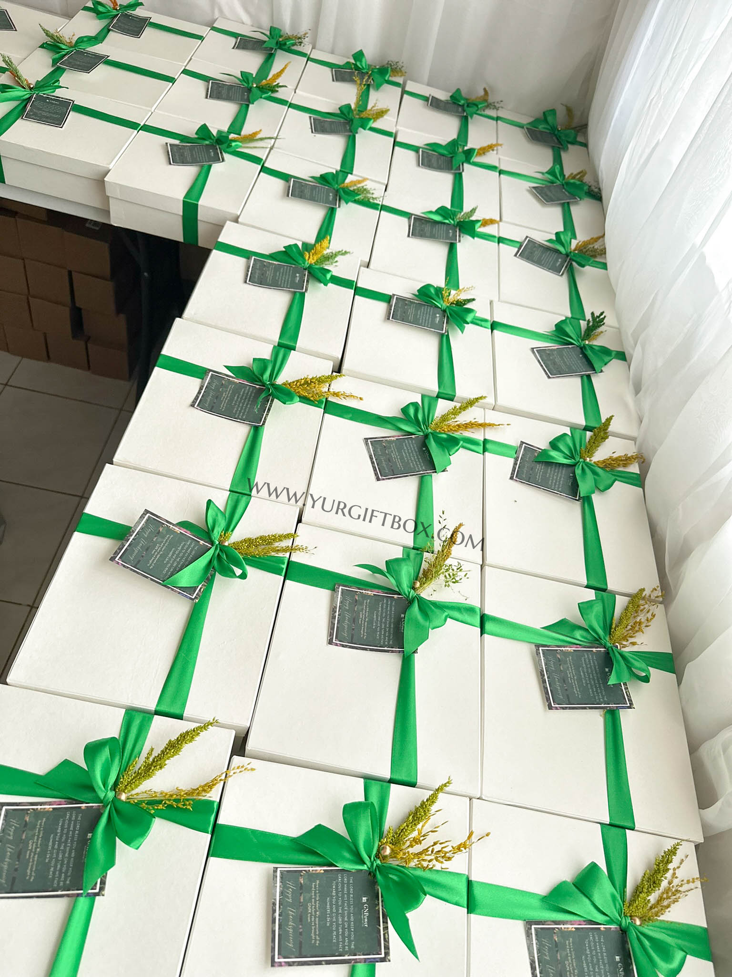 GNPower Gift Set