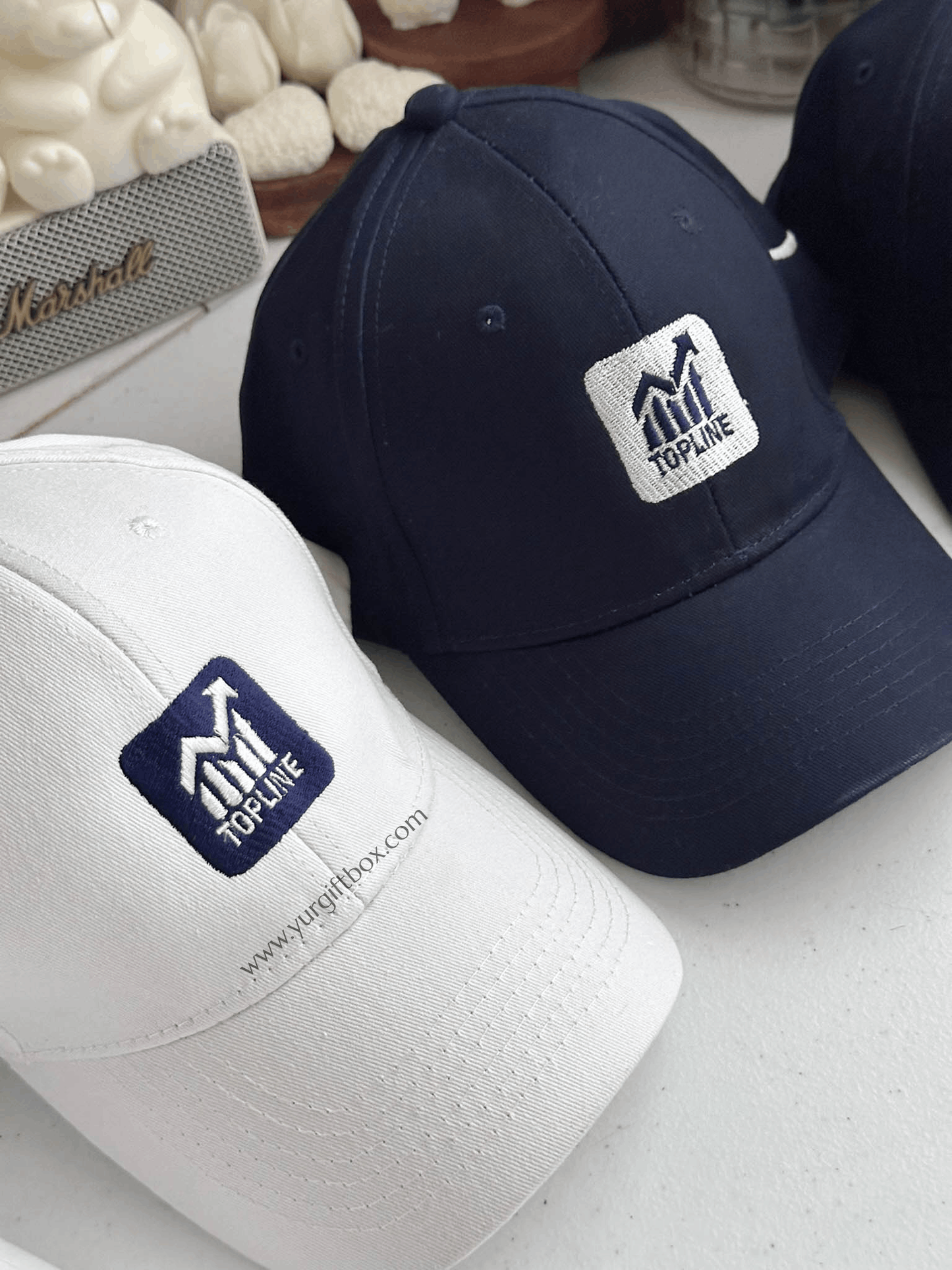 Baseball cap (embroidery)