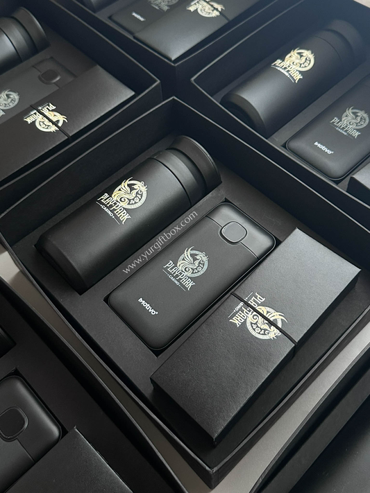 Power bank Set