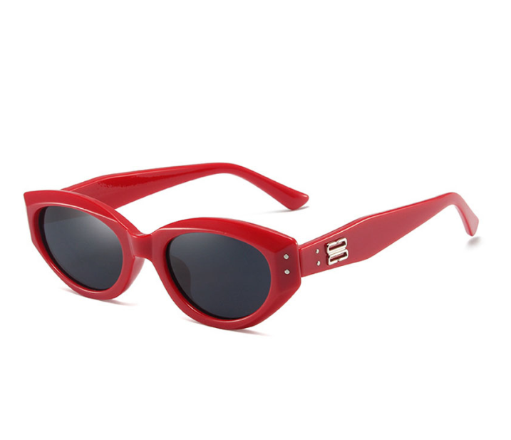 Sunglasses + case (ladies)