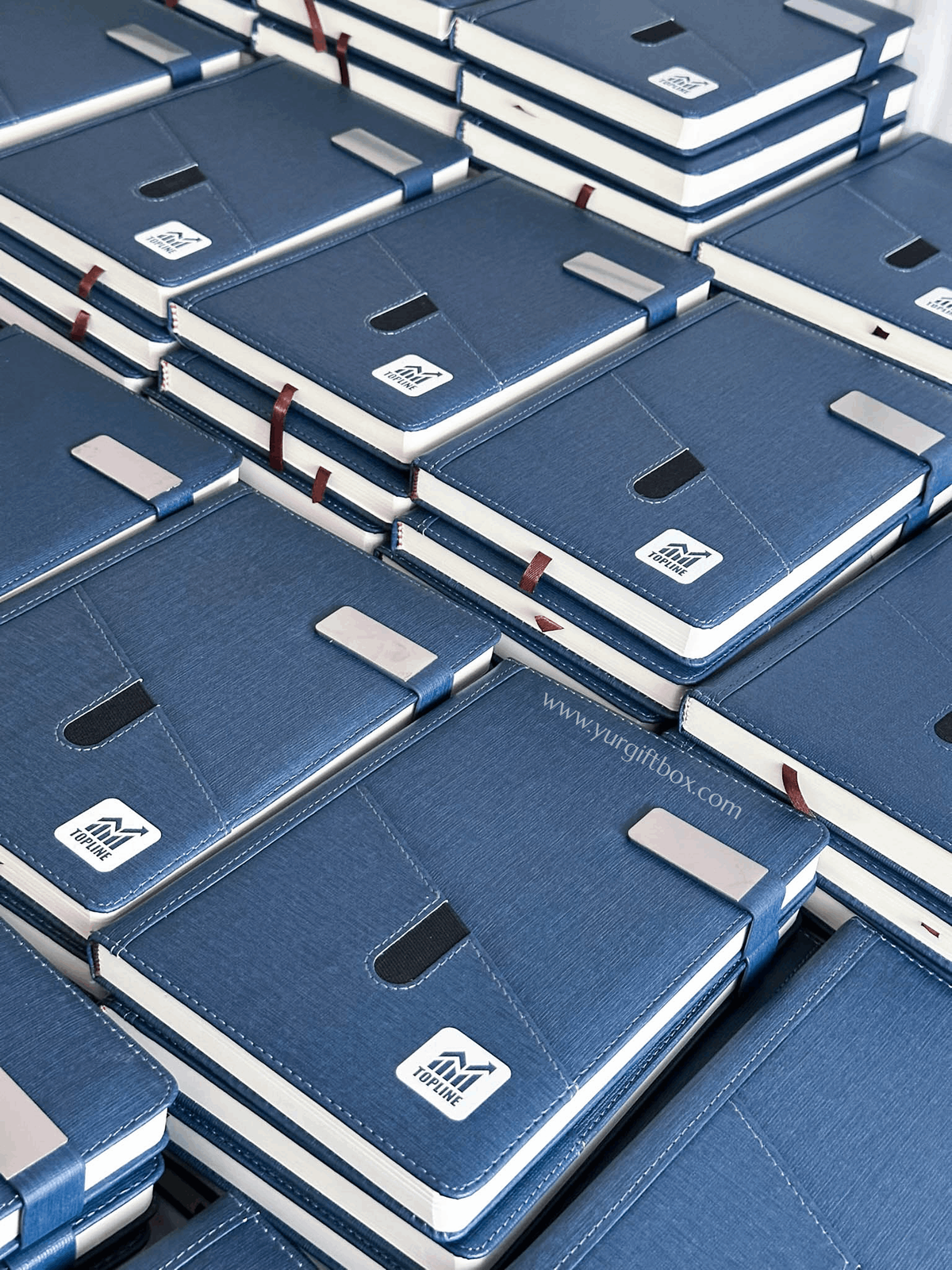 Topline Corporate Set