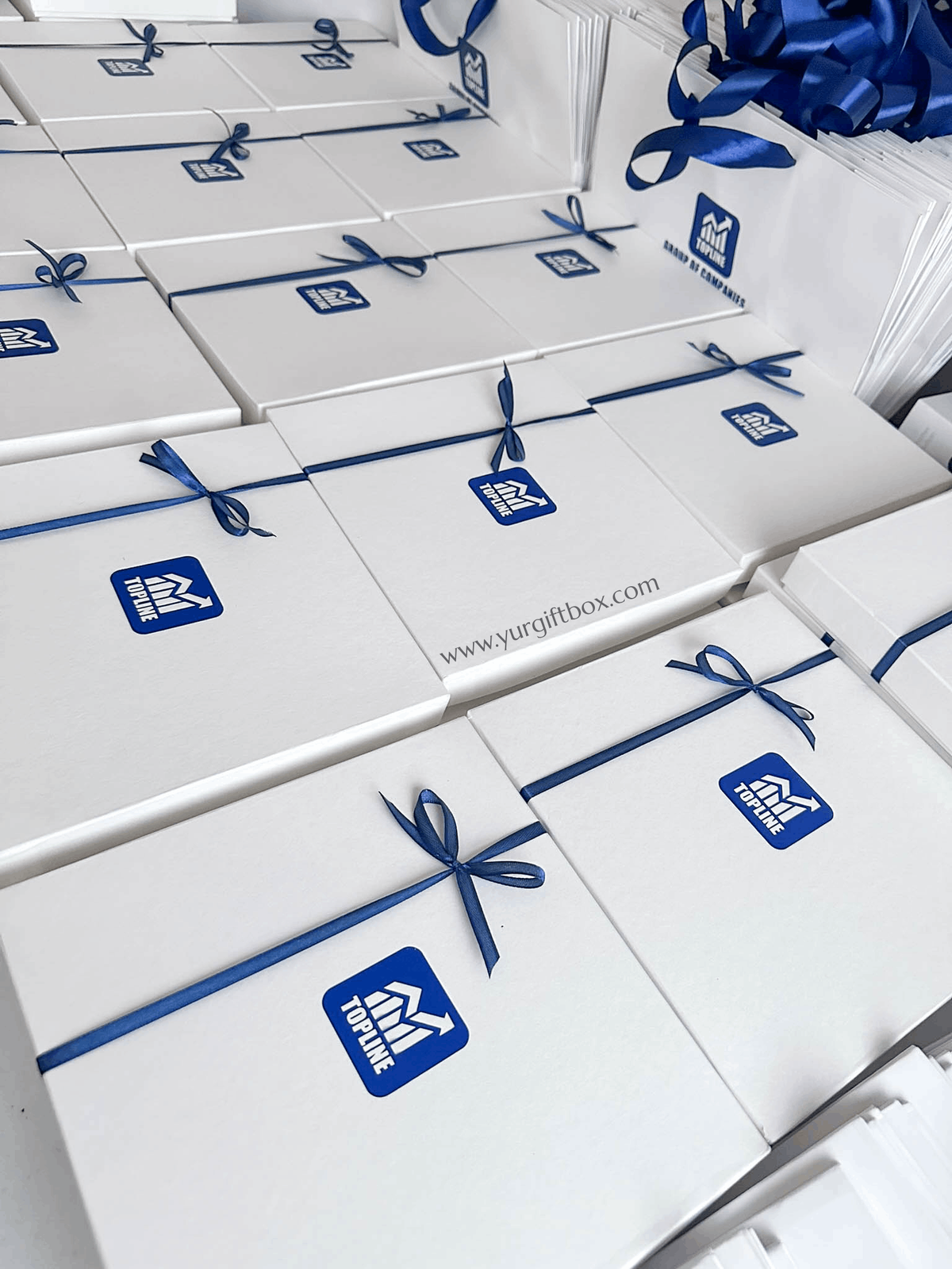 Topline Corporate Set