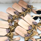 Paddle brush